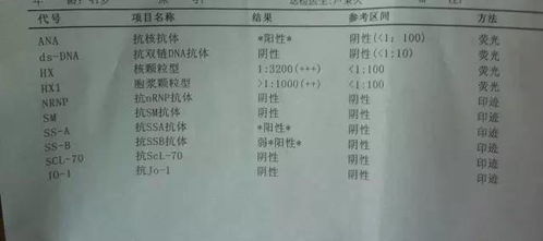 备孕抗体检查需要空腹吗