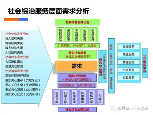 社会生育问题