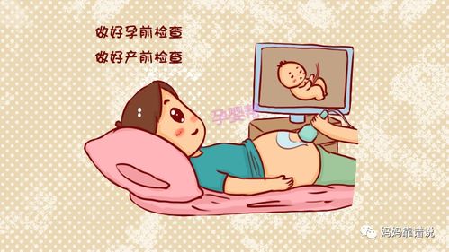 备孕查血型目的是查什么