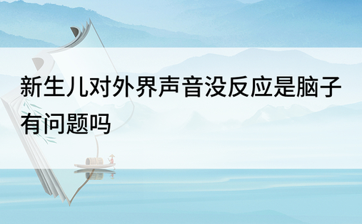 新生儿对外界声音没反应是脑子有问题吗