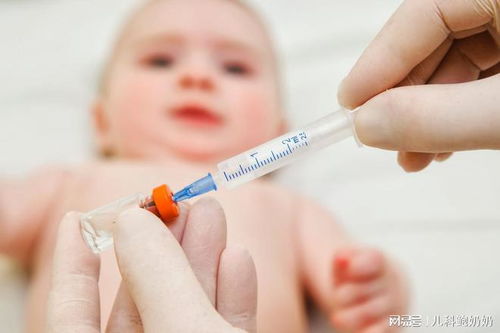 婴儿疫苗接种的护理要点