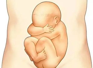 胎教对胎儿的影响