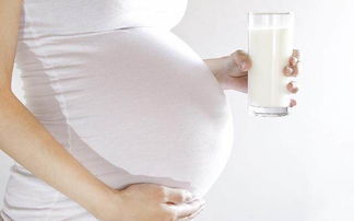适合孕妇喝的高钙牛奶
