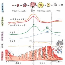 激素六项检查目的是什么呢