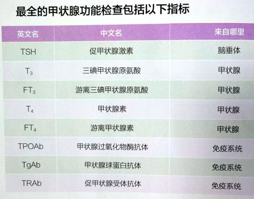 查甲状腺功能需要扣扣