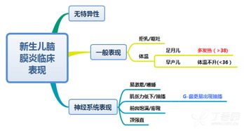 新生儿护理流程思维图