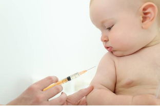 婴儿接种预防针注意什么事项和细节