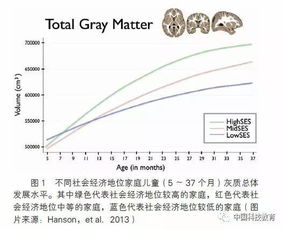 儿童早期发展年龄范围包括