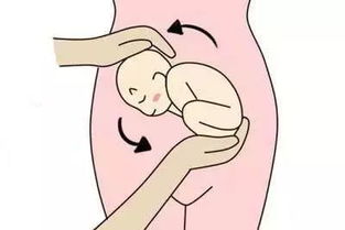 胎动监护怎么才算正常范围