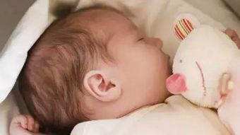 新生儿睡眠规律及其特点