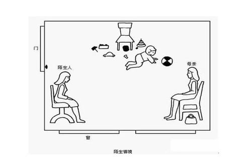 依恋的形成——母婴关系如何塑造我们一生的情感