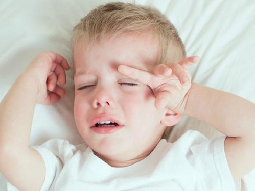 婴儿期睡眠规律和时常