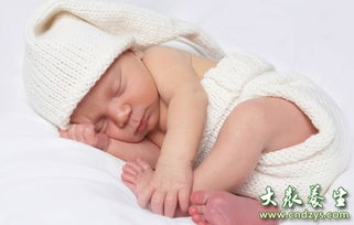 新生儿睡眠状态有哪六种