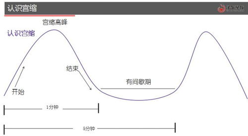 分娩过程通常要经过几个阶段