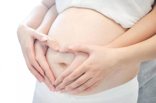 备孕期控制体重吃什么好