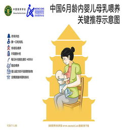 母乳喂养期间的体重管理包括哪些内容