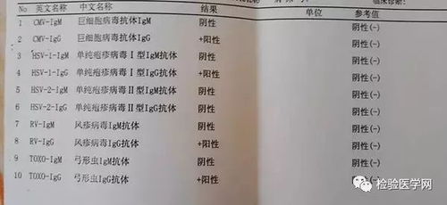 备孕抗体四项检查什么时候做