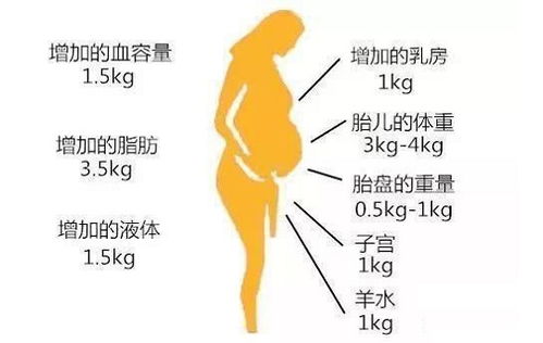 女性备孕体重胖点正常吗