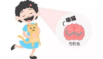 怀孕接触宠物会感染弓形虫吗