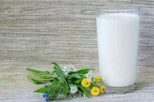 孕妇吃高钙奶有什么好处吗