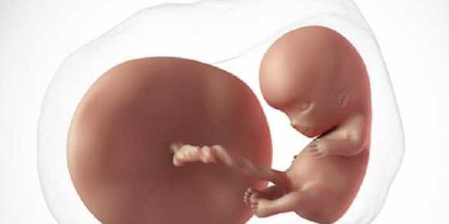 孕期按摩头部对胎儿的影响