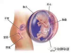 孕期怎么注意对宝宝好